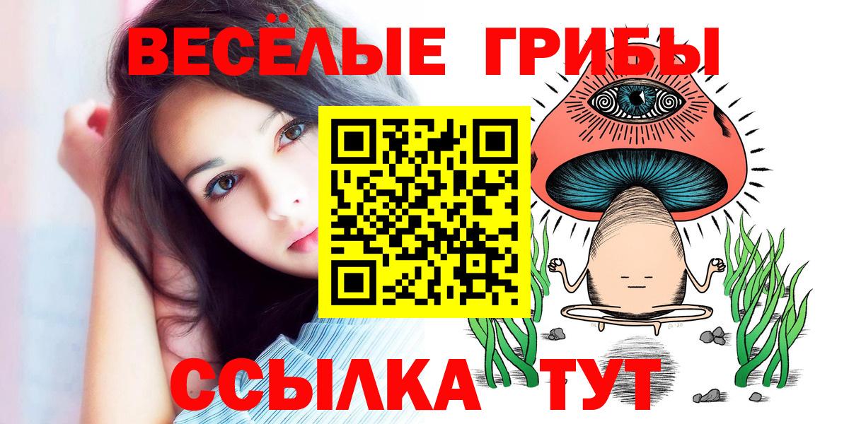 Сызрань  Галлюциногенные грибы мицелий  Псилоцибиновые грибы мухоморы  купить закладку  Вход с VPN 